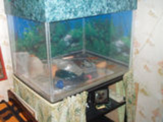 Продам аквариум б/у 250 литров (плексиглас). foto 1