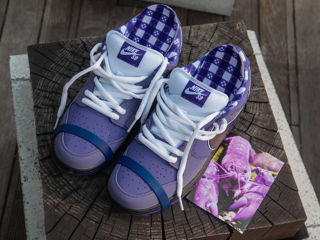 Nike SB Dunk Low Purple Lobster Unisex foto 2