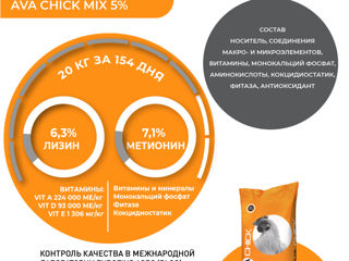 Premix Pentru Îngrășarea Curcanilor Ava Chick Mix 5%. foto 1