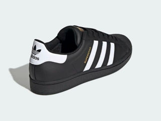 Super Star Adidas foto 2