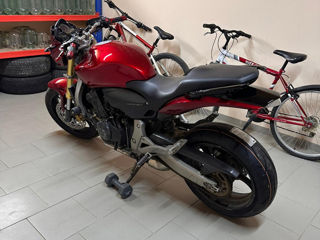 Honda Hornet