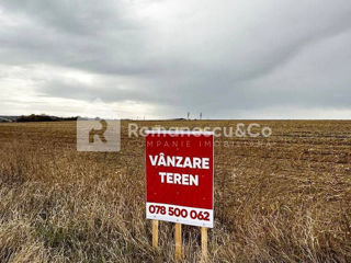 Spre vânzare, teren cu suprafața de 2,5 ha, Ialoveni, Horești! foto 2