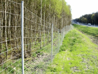 Gard din plasă innodată zincată.сетка шарнирная foto 3