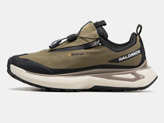 Salomon Odyssey Gore-Tex Brown