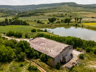 Se vinde afacere activă în s. Dolna, Strășeni, Chișinău foto 3