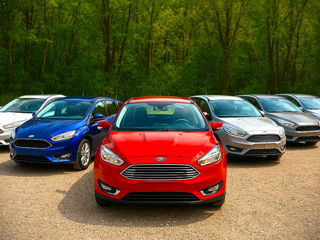 Ford Focus фото 3