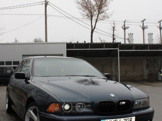 BMW 5 Series foto 8