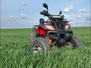 Boss ATV Boss atv 150 foto 6