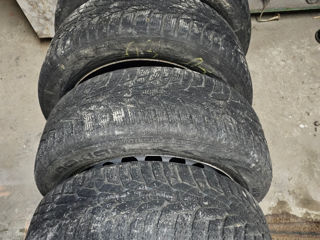 Nokian WR D4 205/55 R16