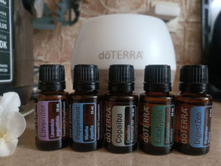 Набор эфирных масел doTERRA в чехле foto 4