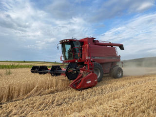 Combina CASE IH 2388 foto 1