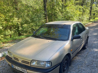 Nissan Primera foto 2