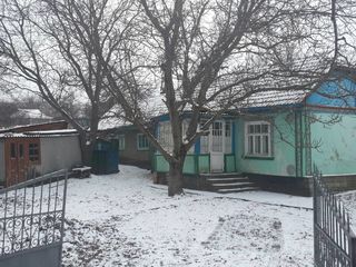 Срочно продам дом Сороки,Солонец(3000евро)Можно и в рассрочку foto 7