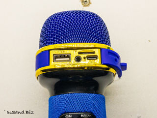 Microfon Karaoke Pentru Copii - "Karaonika MD-2" foto 7
