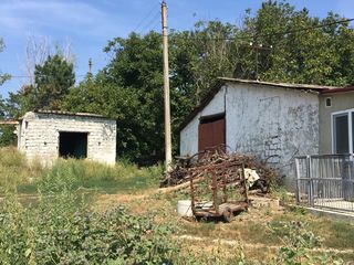 Se vinde ferma pentru creșterea porcilor și oilor. foto 2