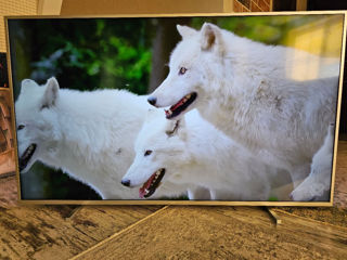 Urgent Philips LED 4K Smart Youtube Mare 165cm (65") foto 10