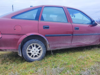 Opel Vectra foto 6