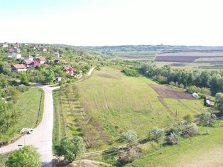 Lot de 284 ari. Situat lîngă Dumbrava.Infrastructura dezvoltata. Drum asfaltat foto 1