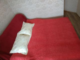 Timpul. Ora, ziua, săptămâna, luna, anul. - Cuvântul lipsă
