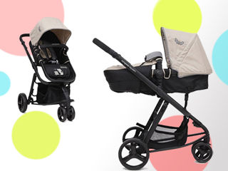 Carucior cangaroo rachel