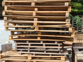 Palete din lemn / деревянные падоны