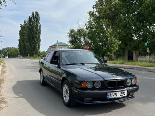 BMW 5 Series foto 5