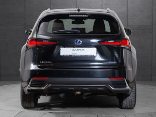 Lexus NX Series foto 8