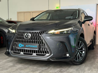 Lexus NX Series, 2022 г.