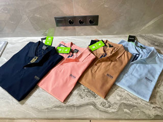 Tricouri Polo, Original, Nou, Marimi Disponibile, In Stock