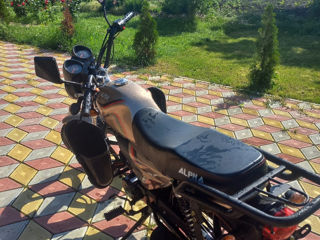 Alpha Moto 110 foto 3