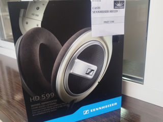 Наушники Sennheiser HD599