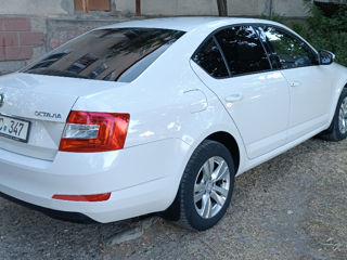 Skoda Octavia foto 3