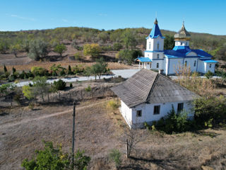 Сельскохозяйственная земля (Тараклийский район, село Мусаит) foto 9