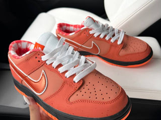 Nike SB Dunk Lobsters Orange Unisex 36-45 foto 6