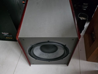 Jm lab cobalt sw 800 фото 0