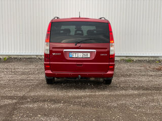 Mercedes Viano foto 6