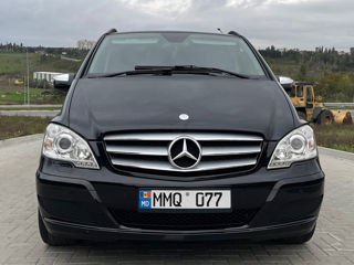 Mercedes Viano