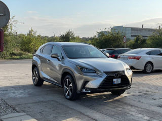 Lexus NX Series