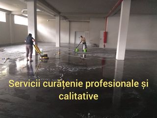 Oferim servicii de curatenie profisionale si calitative în case și în jurul gospodăriei foto 4