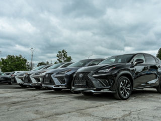 Lexus NX Series foto 4