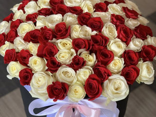 101 trandafiri de la 749 mdl livrare flori 101 роза от 749 лей доставка цветов flowers delivery foto 5