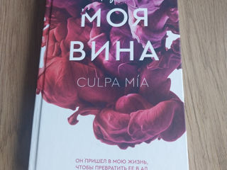 Моя вина