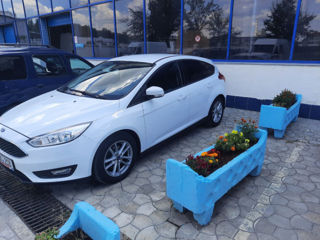 Ford Focus foto 1