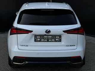 Lexus NX Series foto 6