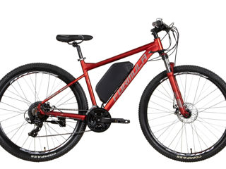 E-bike Formula F1 29'