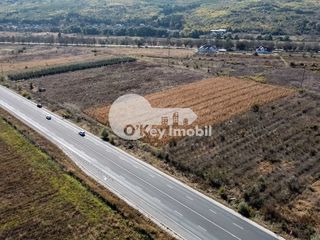 Teren cu destinație agricolă, 60 ari, Cojușna 81 000 € foto 6