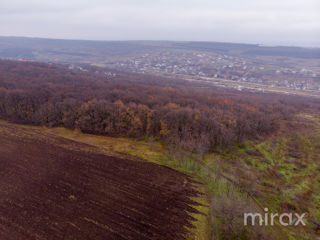 com. Ghidighici, Chișinău, Moldova foto 9