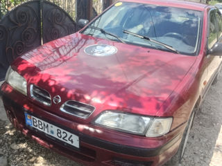 Nissan Primera