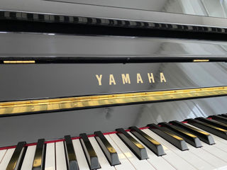 Yamaha acustic