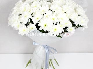 Livrarea florilor Vadul-lui-Vodă, flori cu livrare în Vadul-lui-Vodă foto 9